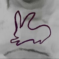 1000 Rabbits - Rubik's Cube