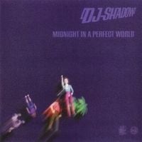 DJ Shadow - Midnight In A Perfect World