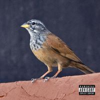 Nessyou - ATMSPR