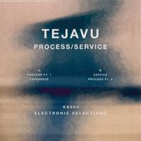 Tejavu - PROCESS/SERVICE