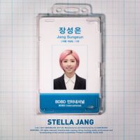 Stella Jang - Vanishing Paycheck