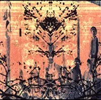 Asianova - Burns Alive!