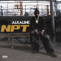 Alkaline - NPT