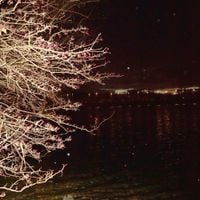 Holly Head - No Country Is An Island