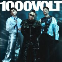 Baneva - 1000 VOLT