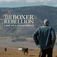The Boxer Rebellion - Last of A Dying Breed