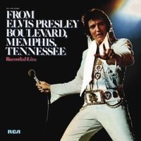 Elvis Presley - From Elvis Presley Boulevard, Memphis, Tennessee