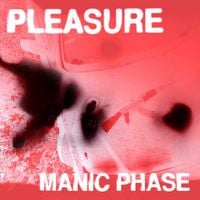 Pleasure - Manic Phase