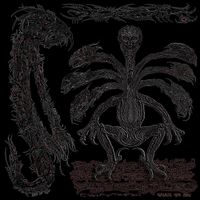 Calsutmoran - Mystic Infunktation