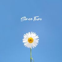 Talha Anjum - Since Tum