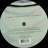 DJ Sprinkles - Queerifications & Ruins Vinyl Sampler 3
