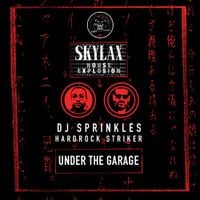 DJ Sprinkles - Skylax House Explosion (Under The Garage)