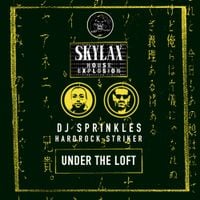 DJ Sprinkles - Skylax House Explosion (Under The Loft)