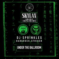 DJ Sprinkles - Skylax House Explosion (Under The Ballroom)