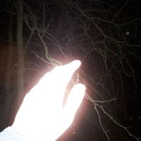 muschio - io mi fidavo di te