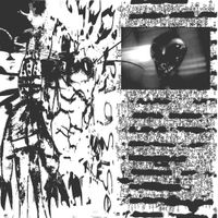 Calsutmoran - Plasisie