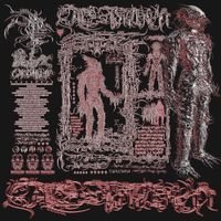Calsutmoran - Stealth Endoparasitoid Stalker