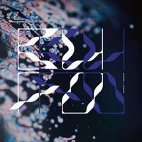 BufoBufo - Ranidae