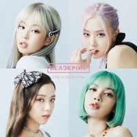 BLACKPINK - Pretty Savage (JP Ver.)