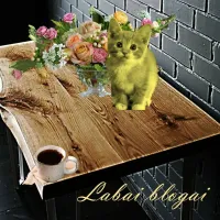 Palėpė - Labai blogai