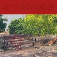G's - Invisible