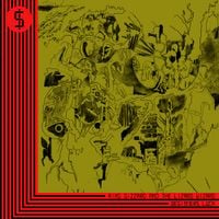 King Gizzard & The Lizard Wizard - Beginner's Luck