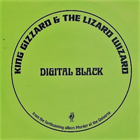 King Gizzard & The Lizard Wizard - Digital Black