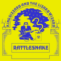 King Gizzard & The Lizard Wizard - Rattlesnake