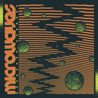 microwaves - Temporal Shifter