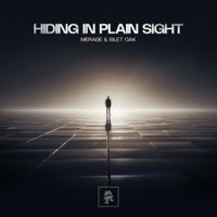 Merage - Hiding In Plain Sight