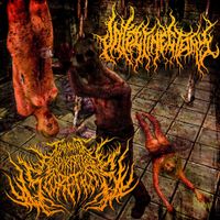 Terminal Respiratory Secretions - Split