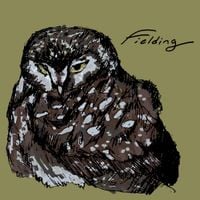 Fielding - Fielding
