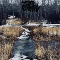 Chemical Dissection - The Ecological Importance of the North Saskatchewan River