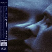 Puma Blue - (Fool)
