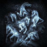 Finnr - Finnr
