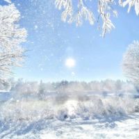 snowski - happy snow day