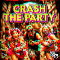 RaveZeroSix - Crash The Party