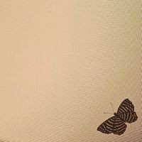 Creativezito - butterfly~tape