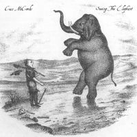 Cass McCombs - Seeing The Elephant