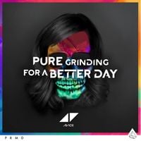 Avicii - Pure Grinding / For a Better Day