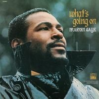 Marvin Gaye - What's Going On (Super Deluxe Edition)