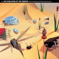 Various Artists - The Evolution Of The Groove