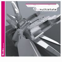 Multistate - Collaborating With Machines