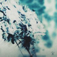 Prompts - Death of Me