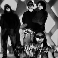 Y - Duplicate