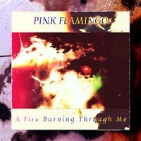 Pink Flamingo - A Fire Burning Through Me