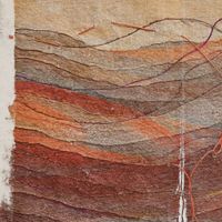 Caroline Davis - Fallows
