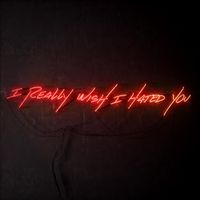 blink-182 - I Really Wish I Hated You