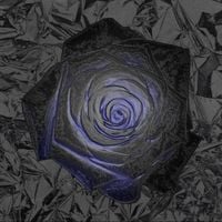 아우 [AWU] - Rose
