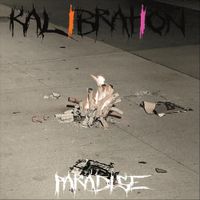 Kalibration - Paradise